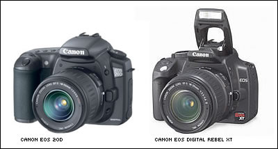 20D vs. Digital Rebel XT