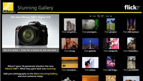 Nikon Stunning Gallery